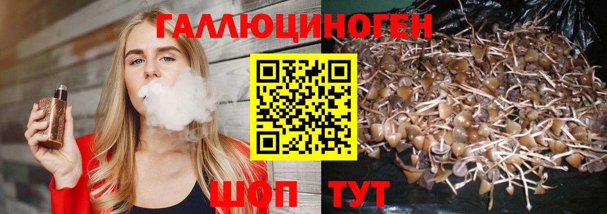 Псилоцибиновые грибы MAGIC MUSHROOMS  Вход с VPN  Партизанск 